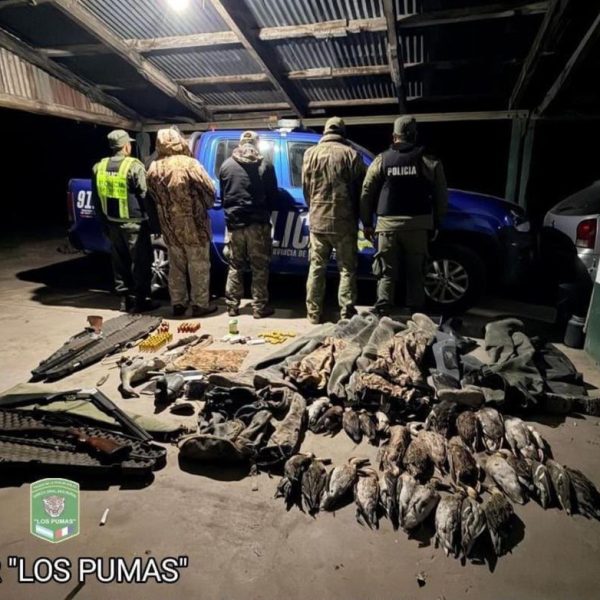 Fuertes operativos contra la caza y la pesca ilegal en Santa Fe, con secuestros y detenidos