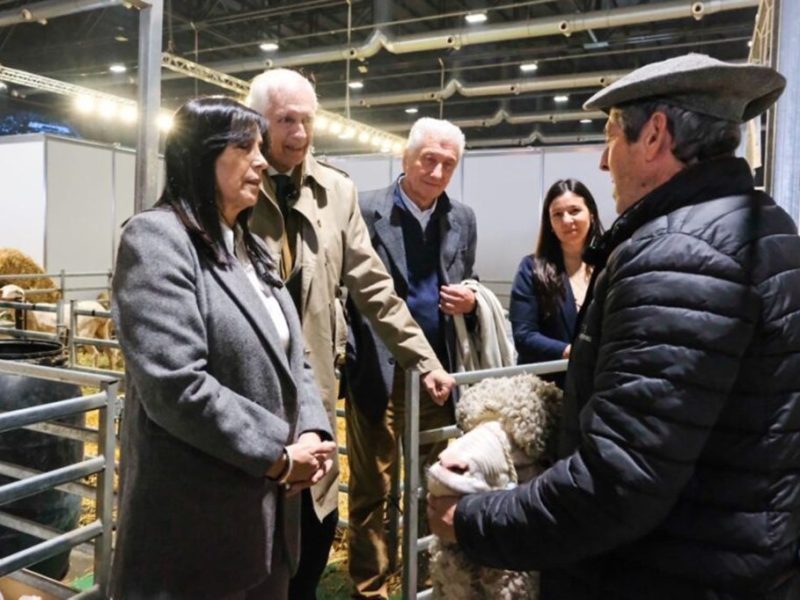 34 productores fueron distinguidos por primera vez por su mejora genética animal en Palermo