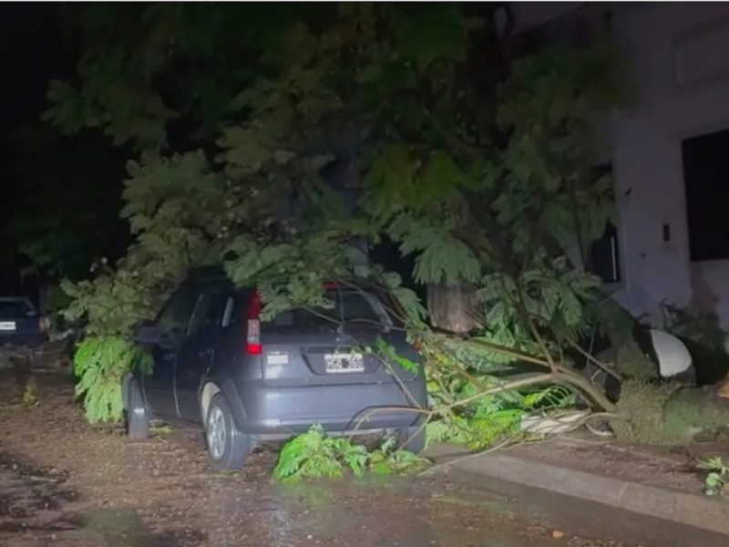 Entre Ríos desplegó asistencia tras temporal en el norte y la costa del Uruguay