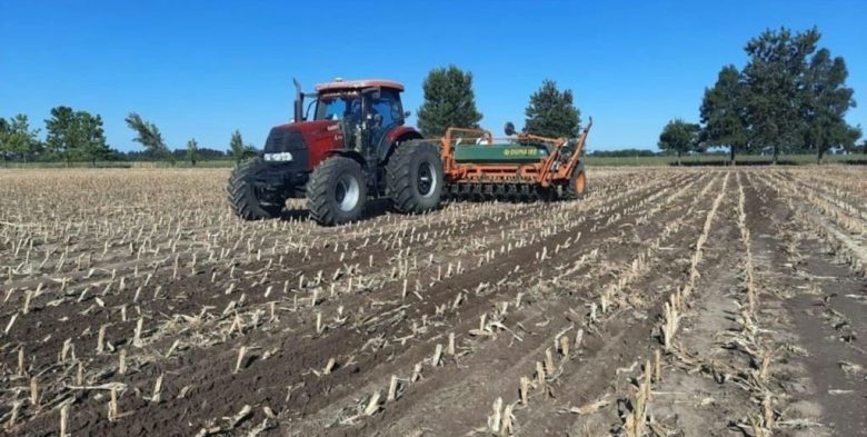 Trigo: la siembra alcanza el 95% en el centro-norte santafesino, pero excesos de humedad aún limitan