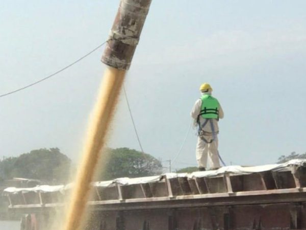 Gran Rosario alcanzó un récord de embarques agroindustriales con 52,8 millones de tonelada