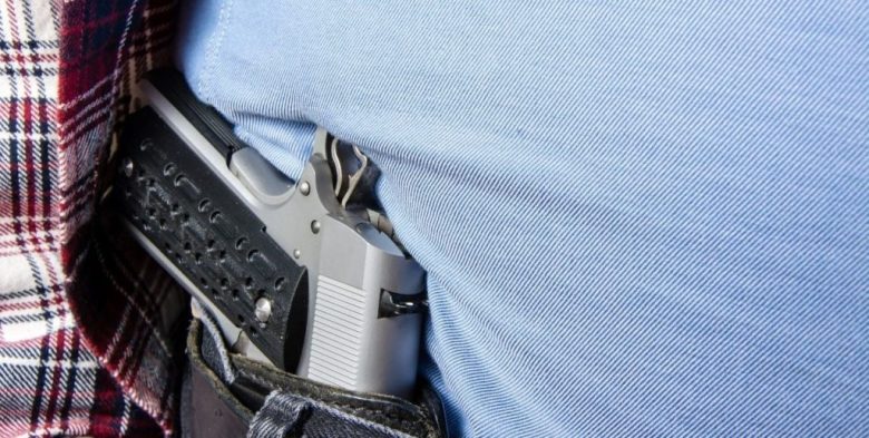 Nuevas reglas de ANMaC para armas heredadas, miras nocturnas y portación: qué cambia en los trámites