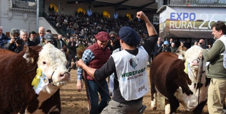 La raza Hereford: histórica participación y éxito productivo en la Rural de Palermo