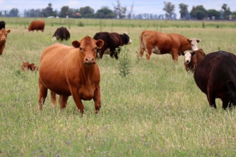 Entre Ríos y el FIDA avanzan en un proyecto para fortalecer las cadenas ovina, caprina, láctea y hortícola