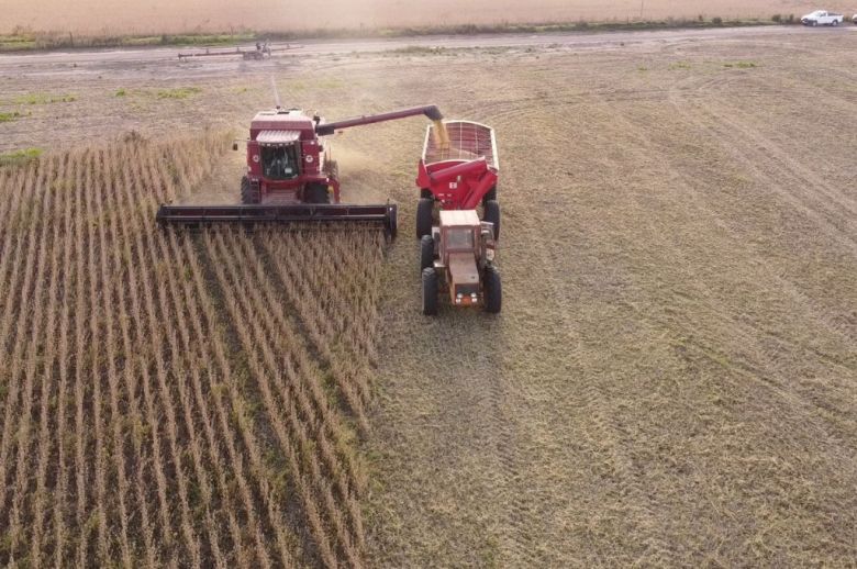 Entre Ríos alcanzó una producción agrícola récord en los últimos 25 años