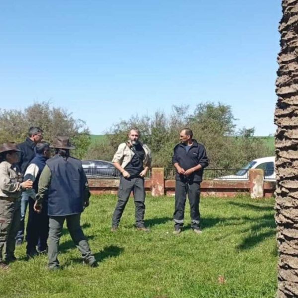 Activaron un operativo en Colonia Elía tras detectar un caso de picudo rojo en una palmera