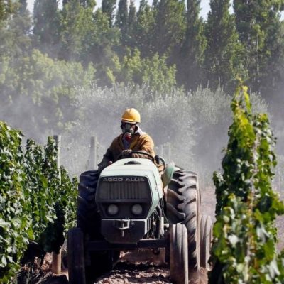 El Senado aprobó el tratado de libre comercio entre el Mercosur y la AELC para potenciar las exportaciones de economías regionales