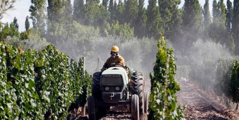 El Senado aprobó el tratado de libre comercio entre el Mercosur y la AELC para potenciar las exportaciones de economías regionales