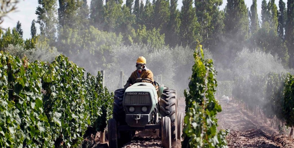 El Senado aprobó el tratado de libre comercio entre el Mercosur y la AELC para potenciar las exportaciones de economías regionales