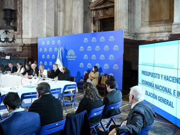 El Senado puso bajo la lupa los recursos que compromete el Súper RIGI