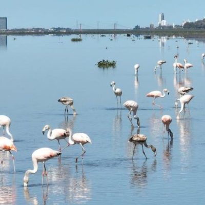 Reclaman señalización ambiental y alertas en los cursos de agua de la ciudad de Santa Fe