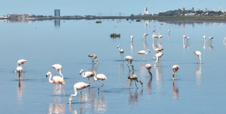 Reclaman señalización ambiental y alertas en los cursos de agua de la ciudad de Santa Fe