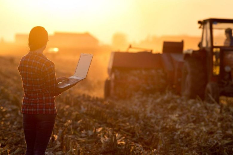 El Banco Nación consolida su liderazgo en el financiamiento al agro, con una cartera agropecuaria de ,5 billones y crecimiento récord