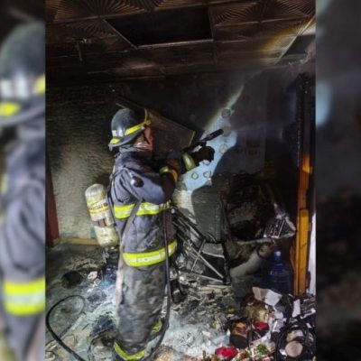 Bomberos rescataron con vida a cuatro perros de un departamento incendiado en Las Flores II, Santa Fe