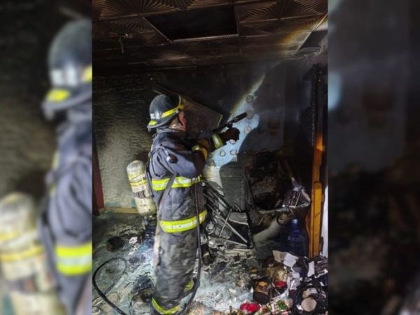 Bomberos rescataron con vida a cuatro perros de un departamento incendiado en Las Flores II, Santa Fe