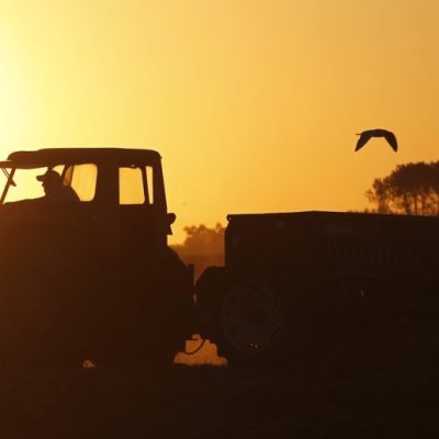 La industria nacional de maquinaria agrícola pierde terreno frente a la importación de tractores en el mercado interno