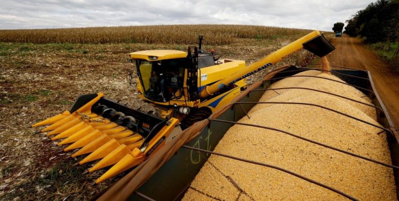 Maíz demorado, trigo en buen estado y el inicio de la siembra de girasol en Santa Fe