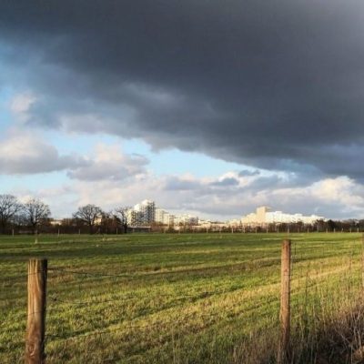 Lluvias y falta de piso frenan por tercera semana la cosecha de maíz tardío y algodón en el centro-norte santafesino