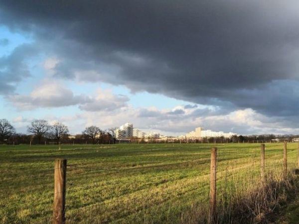 Lluvias y falta de piso frenan por tercera semana la cosecha de maíz tardío y algodón en el centro-norte santafesino