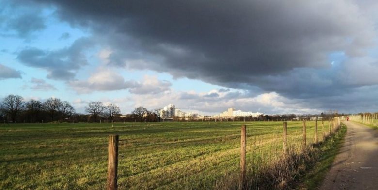 Lluvias y falta de piso frenan por tercera semana la cosecha de maíz tardío y algodón en el centro-norte santafesino