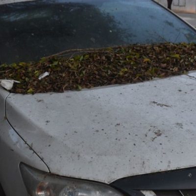 Autos abandonados en Santa Fe: el municipio releva casi 200 vehículos en las calles de la ciudad y detalla cómo es el operativo de retiro