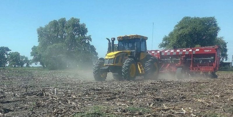 El girasol avanza con fuerza en el centro-norte de Santa Fe y la siembra llega al 73%