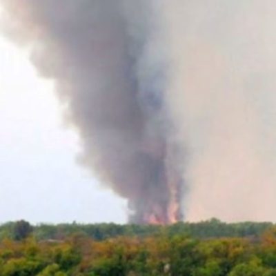 Quemas en el Delta: detectan 36 focos de incendio y ya son más de 1.700 las hectáreas afectadas