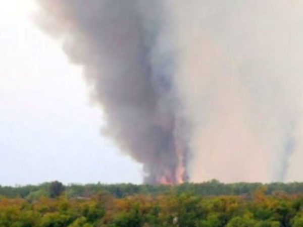Quemas en el Delta: detectan 36 focos de incendio y ya son más de 1.700 las hectáreas afectadas