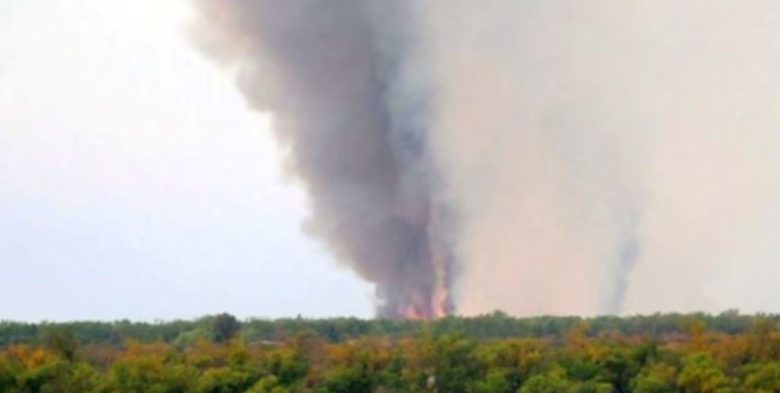 Quemas en el Delta: detectan 36 focos de incendio y ya son más de 1.700 las hectáreas afectadas