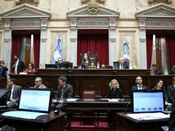 Senado debate la reforma del Banco Central y el régimen de Zonas Frías