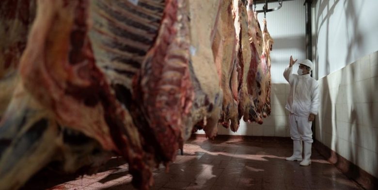 Caída de la faena vacuna: la menor oferta en diez años golpea al negocio frigorífico