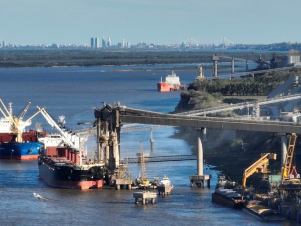 Soja argentina: el Gran Rosario concentra casi el 64% de las toneladas comercializadas
