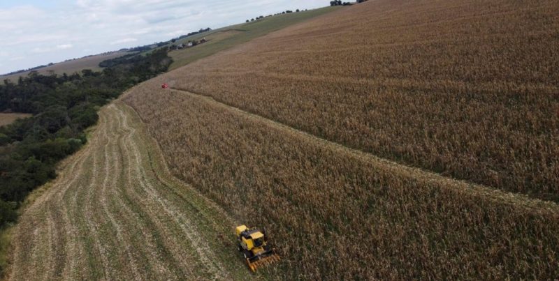 Ley de deforestación de la UE: el impacto en las exportaciones y el agro argentino