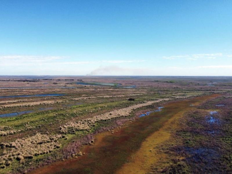 Entre Ríos mantiene el monitoreo en las islas del Delta tras la aparición de focos de incendio