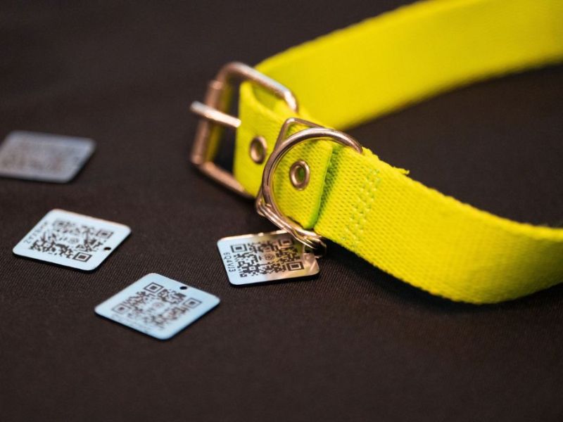 Entre Ríos se declaró la primera provincia pet friendly del país y busca ampliar su oferta turística