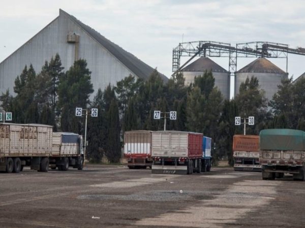 Exportaciones santafesinas: complejo maicero y sojero concentraron más del 78% de los envíos al exterior