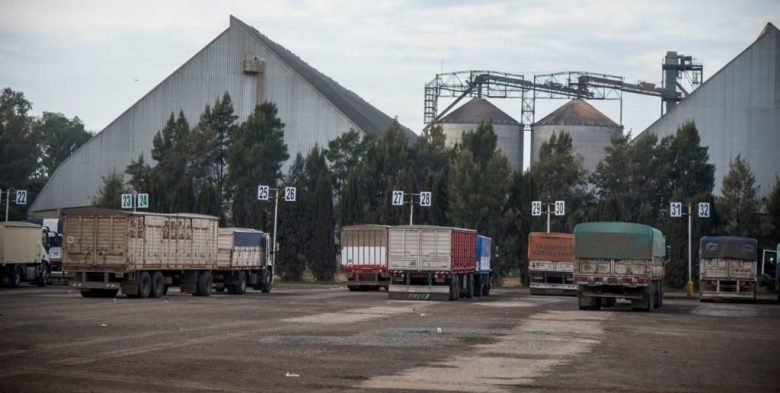 Exportaciones santafesinas: complejo maicero y sojero concentraron más del 78% de los envíos al exterior