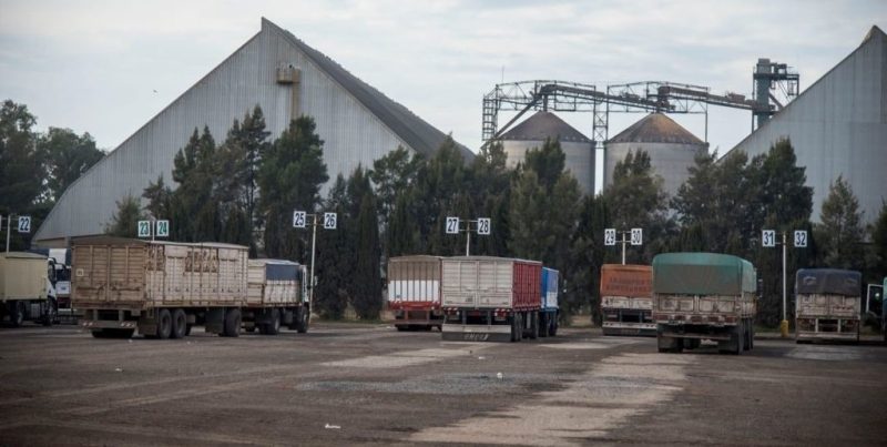 Exportaciones santafesinas: complejo maicero y sojero concentraron más del 78% de los envíos al exterior