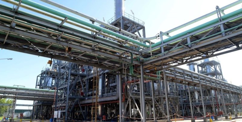 Autorizan nueva levadura transgénica para potenciar la producción de bioetanol de maíz