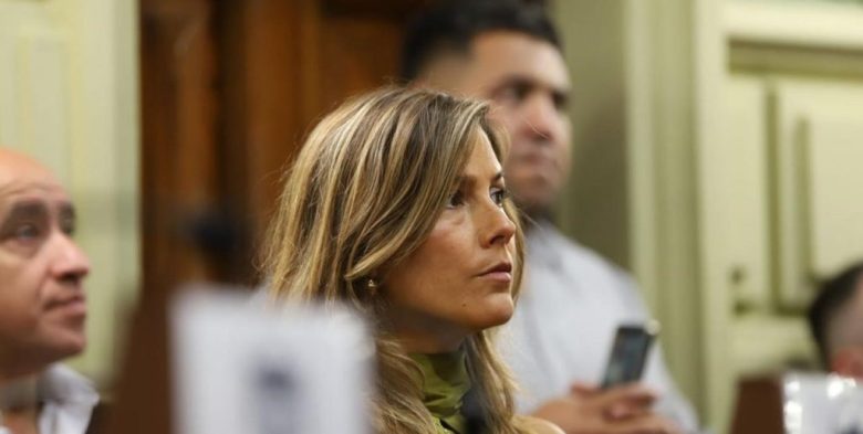 Diputados de Santa Fe dio media sanción a la creación de Bonos Verdes