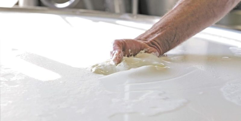 La producción lechera creció un 4,5% y las exportaciones sumaron US$ 1.130 millones