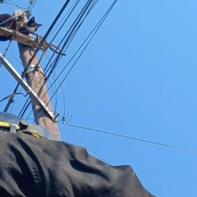 Rescate de un gato en Santa Fe: Bomberos salvaron al animal tras un corte de luz preventivo