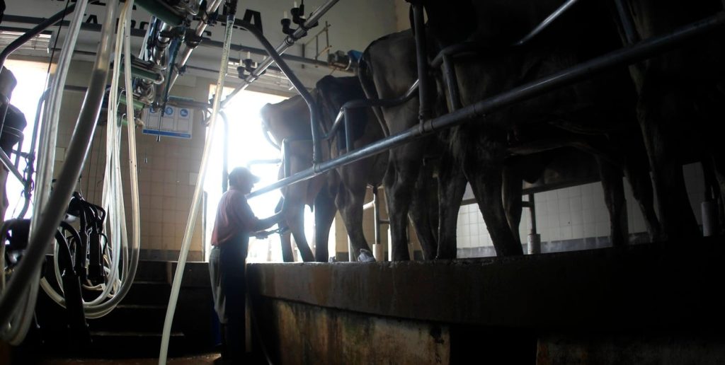 Nación modifica el esquema de exportaciones de maní, carne, lácteos y tabaco con impacto en las economías regionales desde 2027