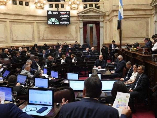 El Senado convirtió en ley el proyecto de Inocencia Fiscal para incorporar dólares al sistema financiero