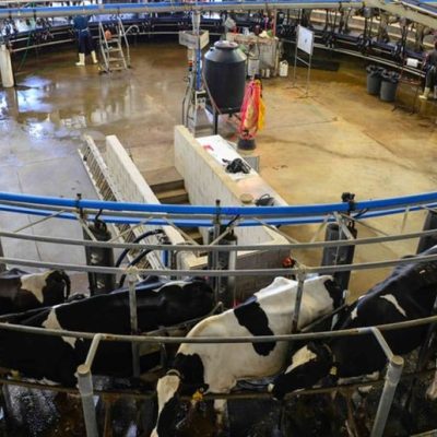 Tambo robotizado y recambio generacional en Entre Ríos: se viene la 2ª Jornada de la Cadena Láctea