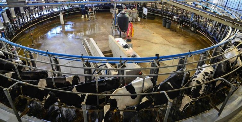 Tambo robotizado y recambio generacional en Entre Ríos: se viene la 2ª Jornada de la Cadena Láctea