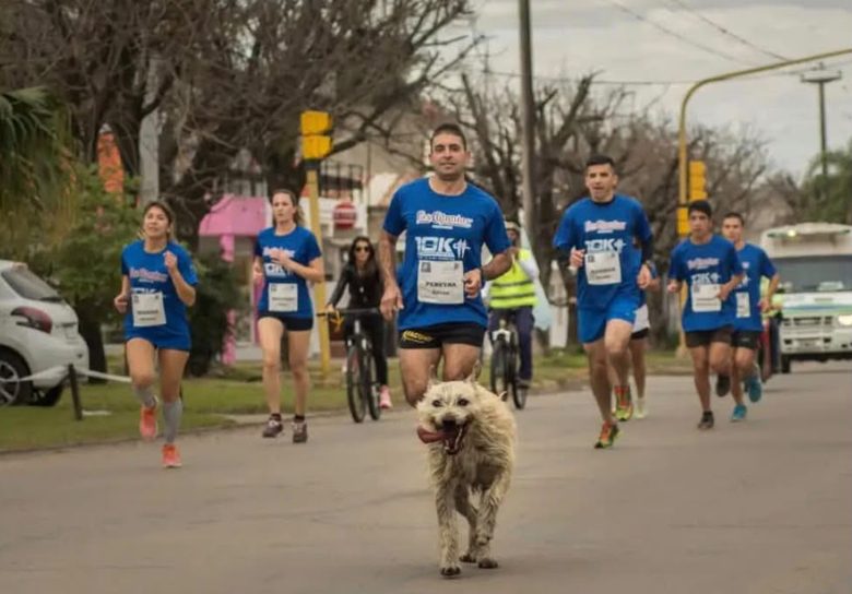 Murió Indio, el perro maratonista de Reconquista que se ganó el corazón de todos