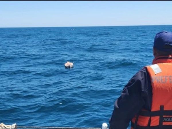 Intensa búsqueda en Santa Teresita tras la desaparición de dos kayakistas en el mar