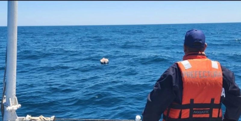 Intensa búsqueda en Santa Teresita tras la desaparición de dos kayakistas en el mar