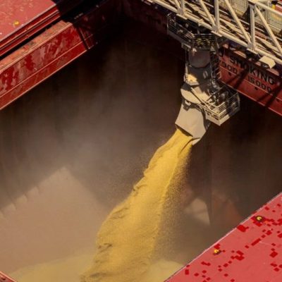 Exportaciones agrícolas: las DJVE marcaron un récord histórico en agosto